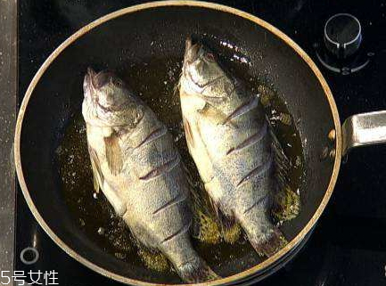 臭鱖魚(yú)是什么魚(yú) 臭鱖魚(yú)是桂魚(yú)嗎