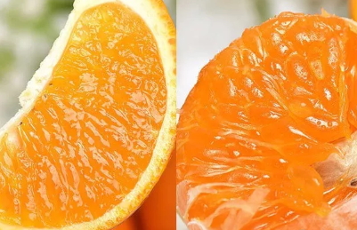 青見柑橘好吃嗎？青見柑橘酸嗎