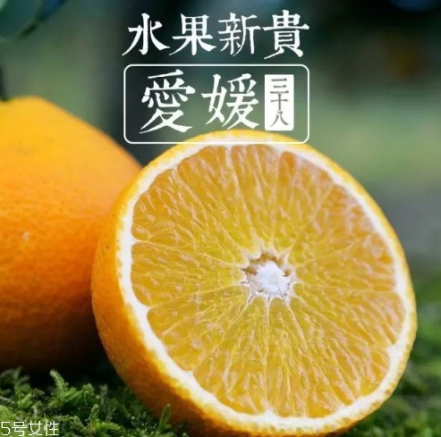 愛媛38號多少錢一斤？愛媛38號柑桔市場行情