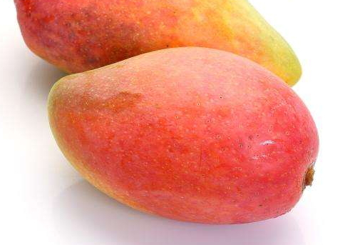 貴妃芒和甜心芒哪個(gè)好吃 貴妃芒和金煌芒的區(qū)別 貴妃芒和甜心芒哪個(gè)好吃 貴妃芒和金煌芒的區(qū)別