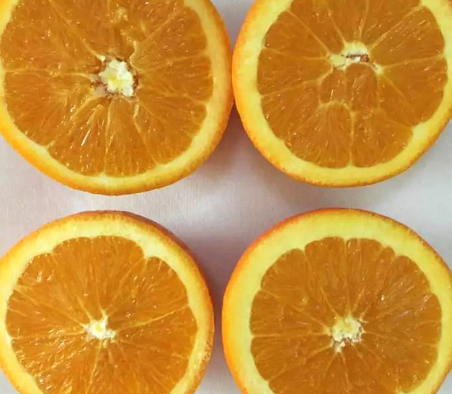 倫晚臍橙和夏橙哪個好？倫晚臍橙和其他橙子的區(qū)別
