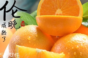 倫晚臍橙口感是酸的還是甜的？倫晚臍橙好吃嗎