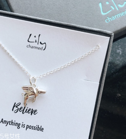 lily charmed怎么樣？lily charmed項(xiàng)鏈好嗎