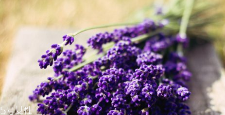 自制爽膚水敏感肌能用嗎 自制爽膚水注意事項(xiàng) 自制爽膚水敏感肌能用嗎 自制爽膚水注意事項(xiàng)