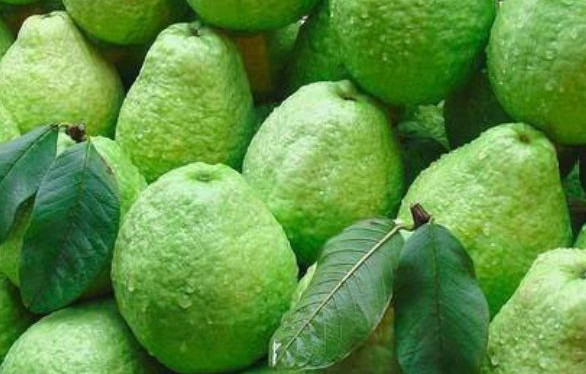 低糖水果有哪些？十大低糖水果排行榜