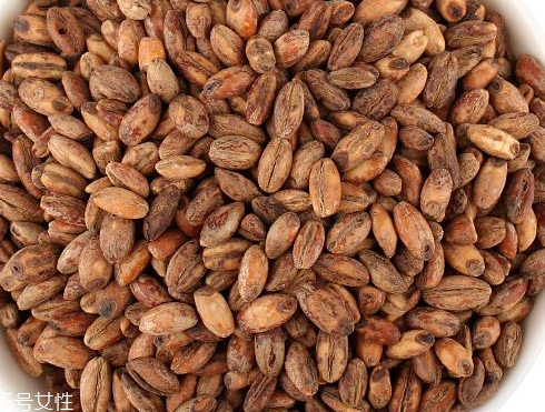 青稞茶怎么做好吃？青稞茶做法