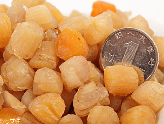 干貝是瑤柱嗎？干貝跟瑤柱的區(qū)別