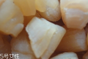 干貝是海鮮嗎？干貝是什么動(dòng)物做的？