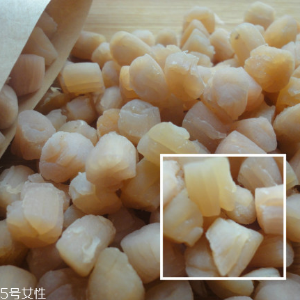 干貝是海鮮嗎？干貝是什么動物做的？