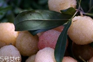 白楊梅好還是紅楊梅好吃？白楊梅和紅楊梅對(duì)比