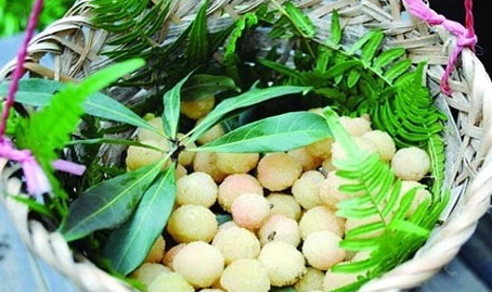 哪里能買到白楊梅？白楊梅上市時間