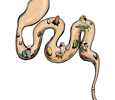 瀉藥會(huì)影響吸收嗎？瀉藥對(duì)吸收有影響嗎？