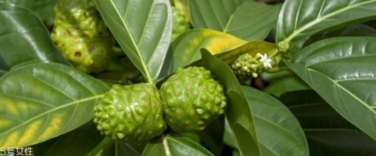 米蘭達(dá)可兒自創(chuàng)品牌kora怎么樣？kora明星產(chǎn)品有什么？