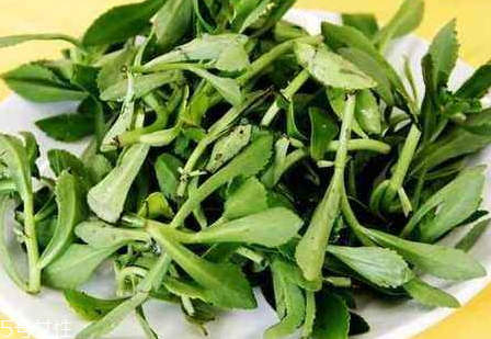 高鈣菜騙局 高鈣菜真的可以補(bǔ)鈣嗎 高鈣菜騙局 高鈣菜真的可以補(bǔ)鈣嗎