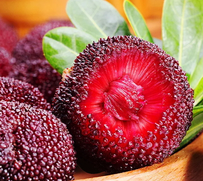 云南楊梅什么時(shí)候成熟？云南楊梅哪里產(chǎn)的