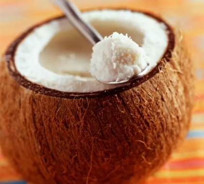 椰子凍怎么做？椰子凍的做法大全