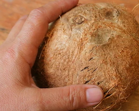 帶拉環(huán)的椰子怎么打開(kāi)？拉環(huán)斷了椰子怎么打開(kāi)