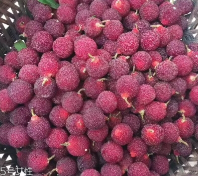 烏酥楊梅多少錢一斤？烏酥楊梅好吃嗎