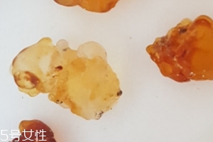 桃膠能生吃嗎？生吃桃膠可以嗎？