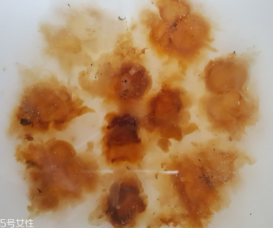 桃膠能生吃嗎？生吃桃膠可以嗎？