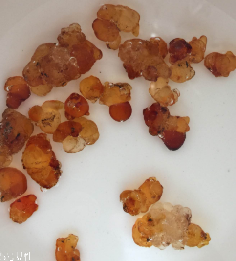 桃膠能治胃病嗎？胃病吃桃膠好嗎？