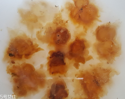 桃膠可以用開水泡嗎？用開水泡桃膠好嗎？