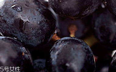 黑提是葡萄嗎？黑提和葡萄的區(qū)別