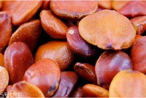 酸棗仁可以泡水嗎 酸棗仁泡水禁忌人群 酸棗仁可以泡水嗎 酸棗仁泡水禁忌人群