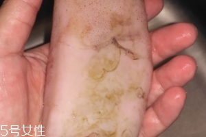 魷魚是海鮮嗎？魷魚屬于海鮮嗎？