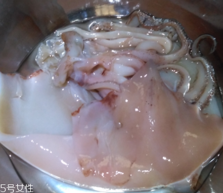 魷魚是海鮮嗎？魷魚屬于海鮮嗎？