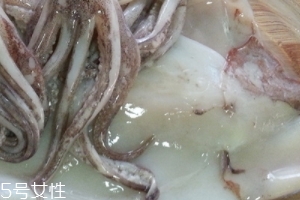 魷魚是烏賊嗎？魷魚跟烏賊是一種嗎？