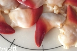 北極貝是海鮮嗎？北極貝介紹