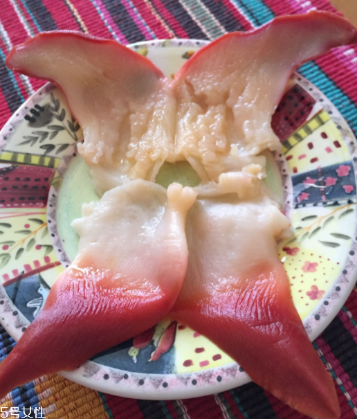 北極貝是海鮮嗎？北極貝介紹