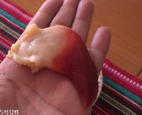 北極貝是海鮮嗎？北極貝介紹