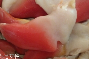 北極貝能放多久？北極貝能保存多長時間？