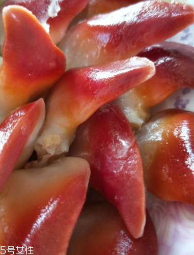 北極貝可以涮火鍋嗎？北極貝可以下火鍋吃嗎？