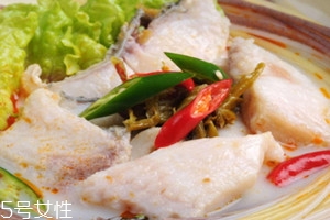 五谷魚粉熱量高嗎 五谷魚粉會胖嗎 五谷魚粉熱量高嗎 五谷魚粉會胖嗎