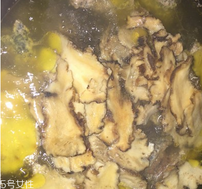 烏骨雞是烏雞嗎？烏骨雞是什么雞？