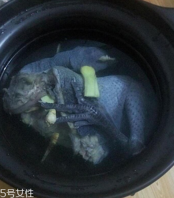 烏骨雞是烏雞嗎？烏骨雞是什么雞？