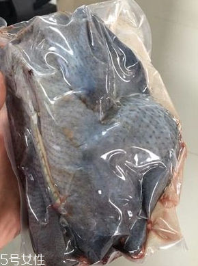 烏雞下奶嗎？烏雞怎么吃下奶？