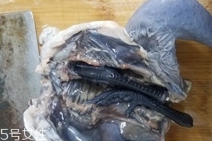 烏雞是公雞好還是母雞好？烏雞買公雞還是母雞？