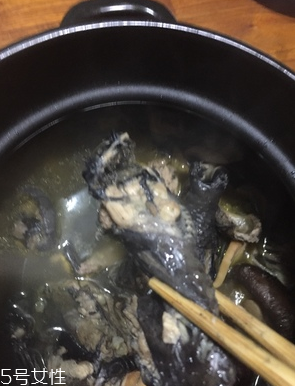 烏雞是公雞好還是母雞好？烏雞買公雞還是母雞？