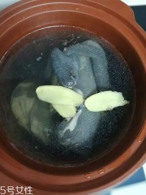 烏雞是熱性還是涼性？烏雞偏熱還是偏涼？