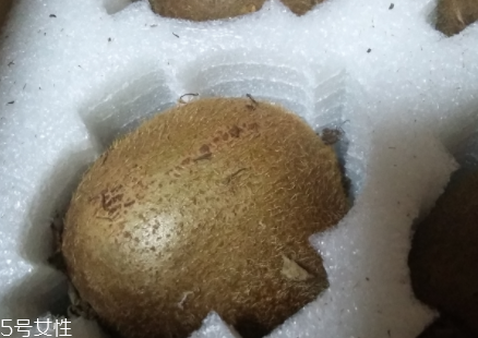 綠心獼猴桃硬的能吃嗎？硬的綠心獼猴桃能吃嗎？