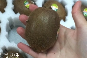 綠心獼猴桃怎么催熟？綠心獼猴桃的催熟方法