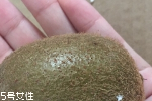 綠心獼猴桃含葉酸嗎？綠心獼猴桃里面有葉酸嗎？