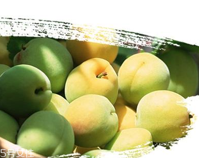 青梅丸的功效與作用 青梅丸能治什么病？