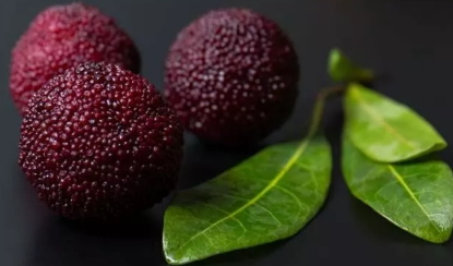 烏酥楊梅什么時(shí)候成熟？烏酥楊梅的產(chǎn)地