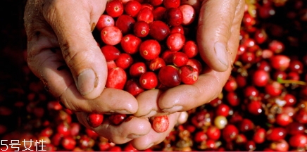 蔓越莓膠囊和月見草可以一起吃嗎？蔓越莓和月見草哪個(gè)好