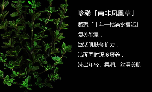 阿瑪尼洗面奶怎么樣？阿瑪尼洗面奶評測